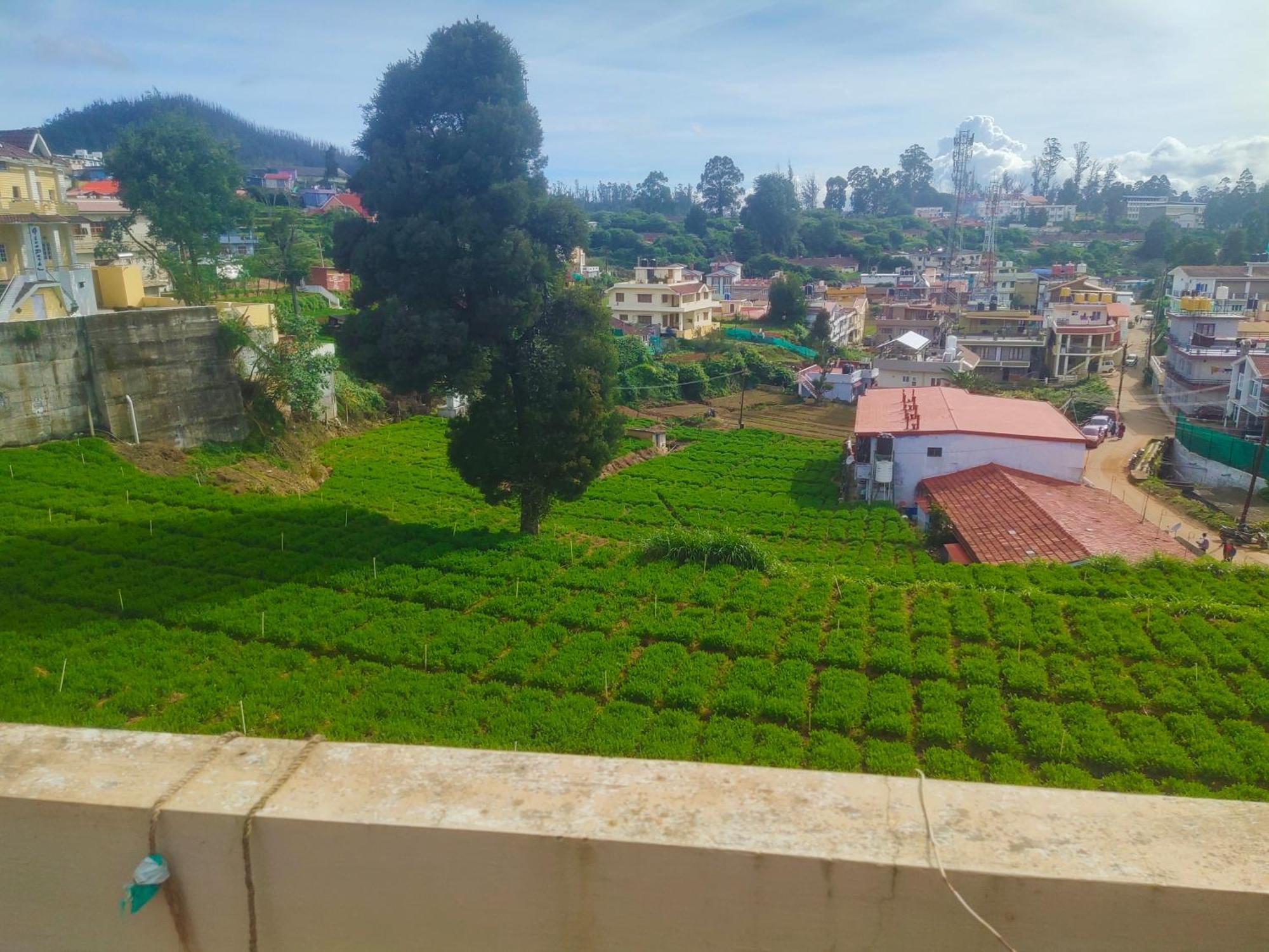 Ooty Mountain Cottage Eksteriør billede